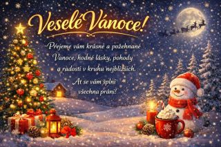 🎄Přejeme vám veselé Vánoce 🎄